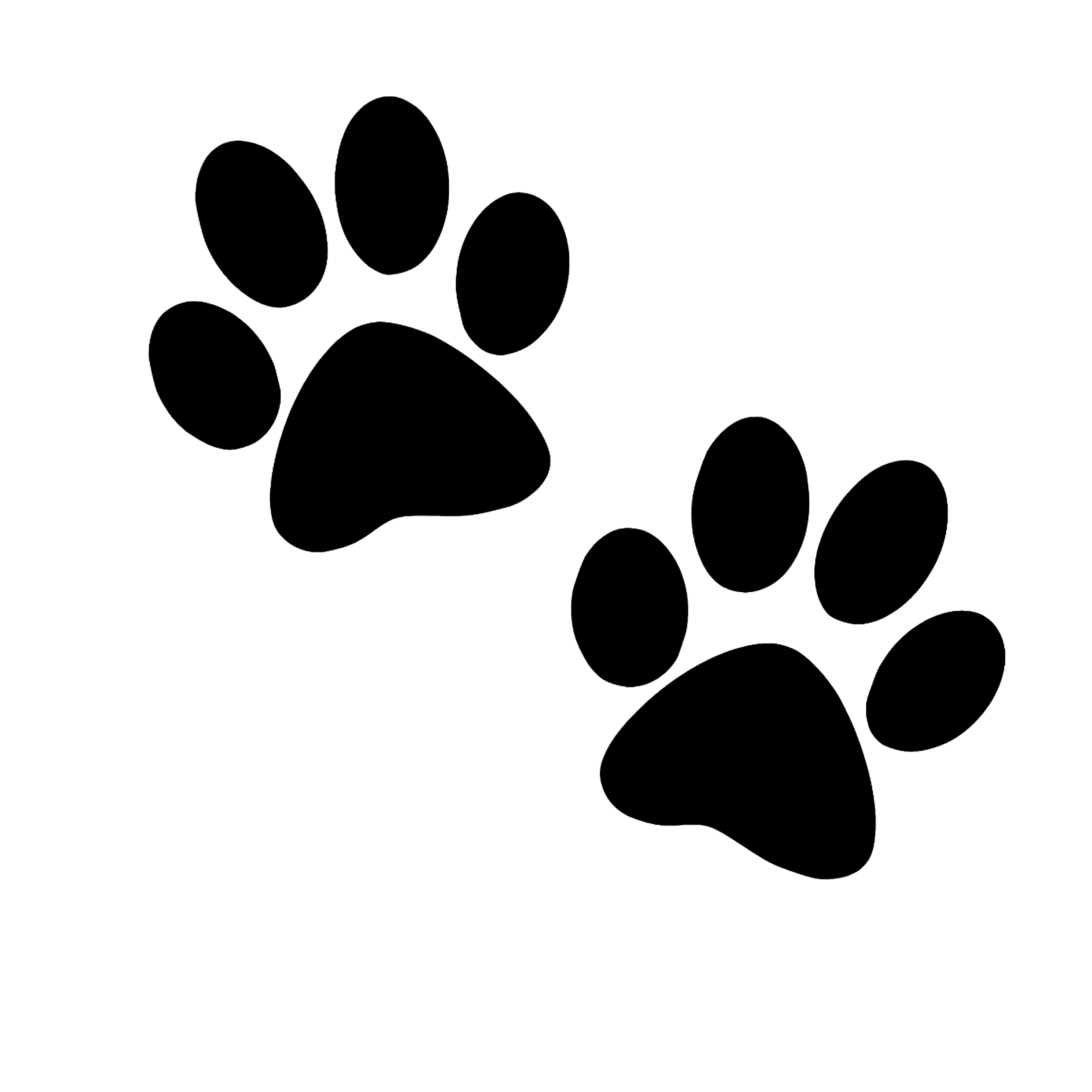 Aux quatre pattes